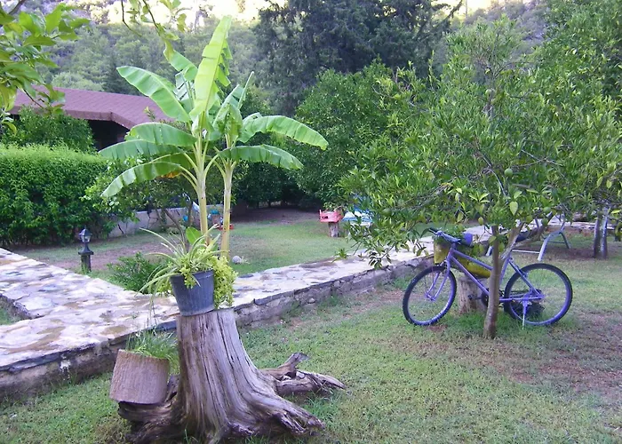 Portalimo Lodge Hotel - Adult Only +12