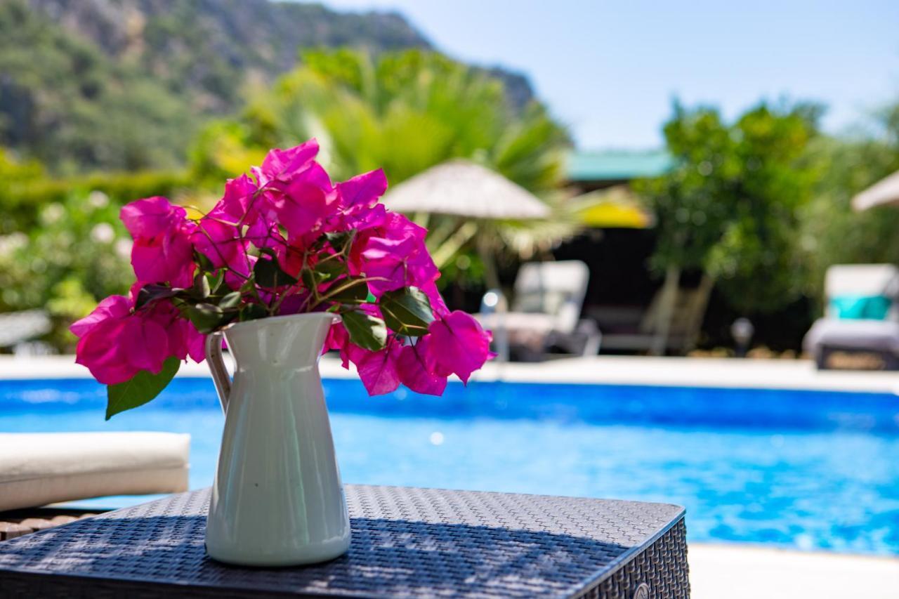 Cabană Portalimo - Adult Only +12 Çıralı