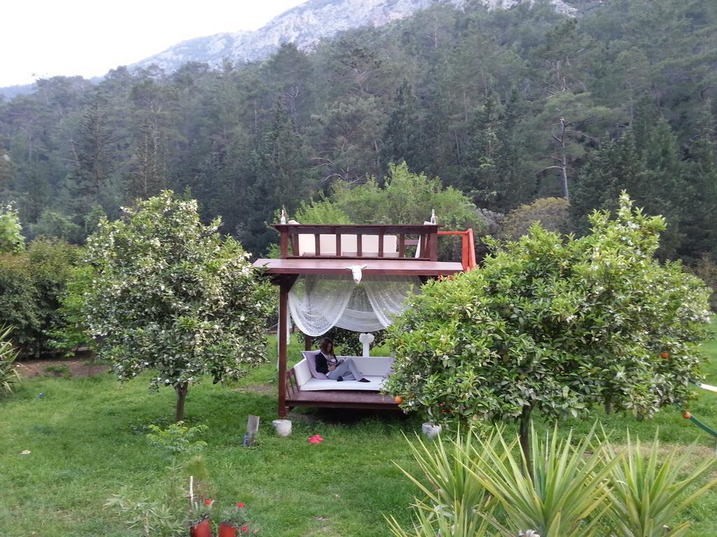 Portalimo - Adult Only +12 * Çıralı
