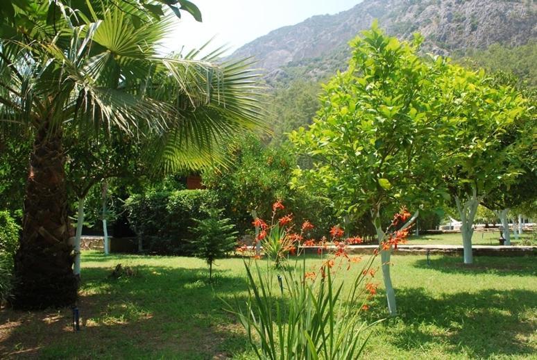 Portalimo - Adult Only +12 * Çıralı