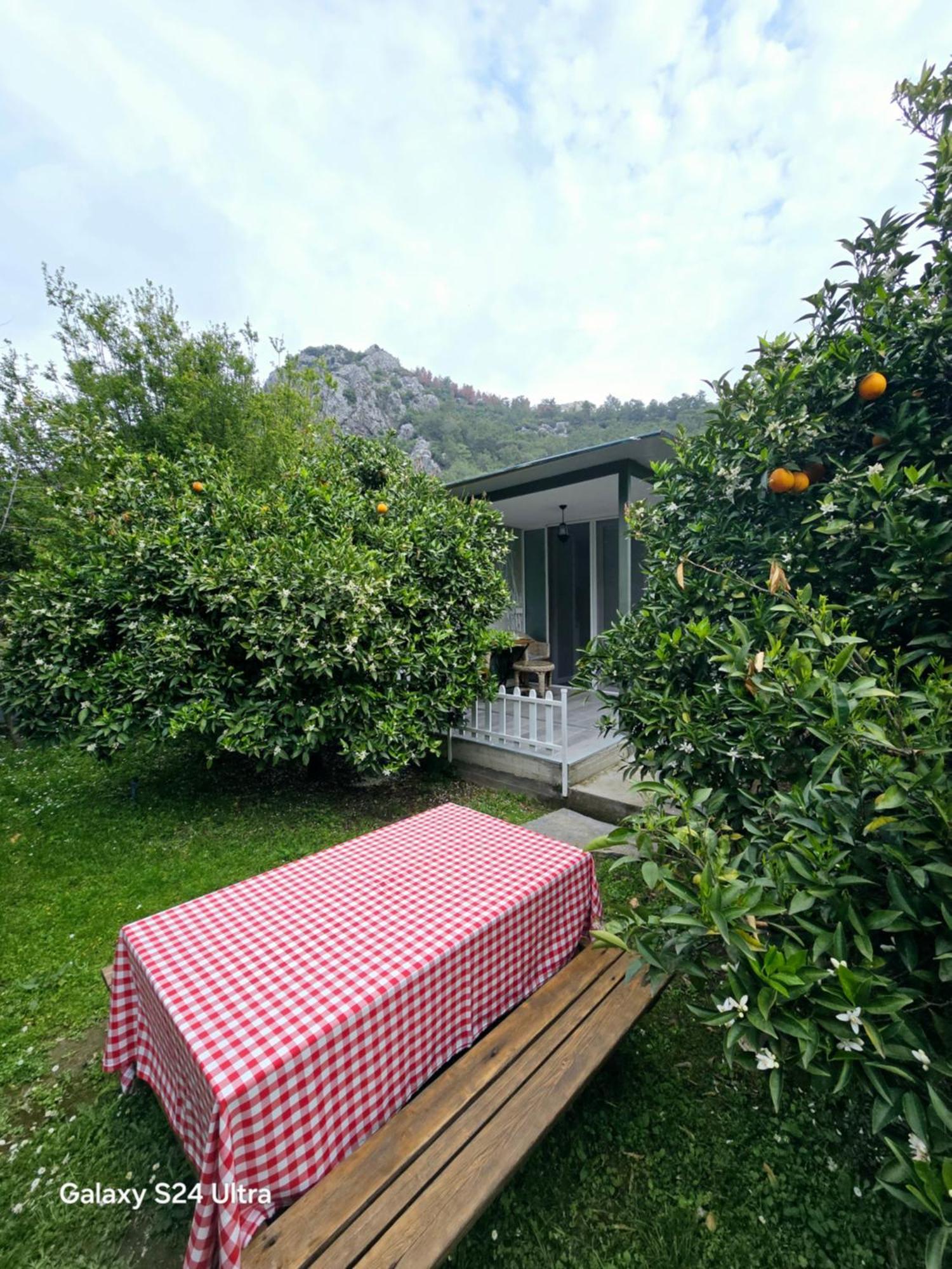 Cabană Portalimo - Adult Only +12 *
