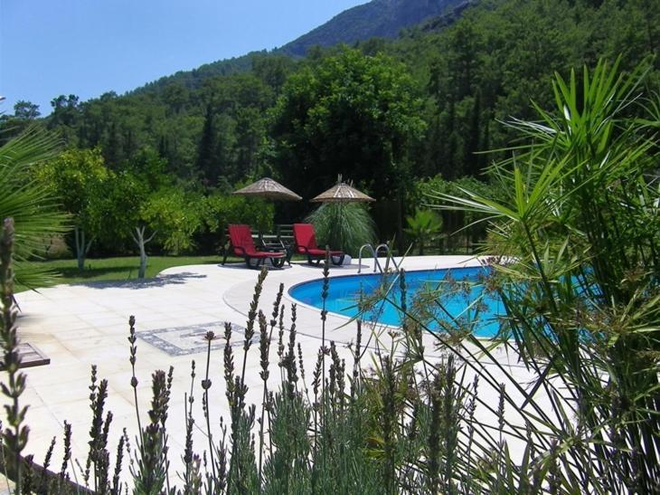 Portalimo - Adult Only +12 Çıralı
