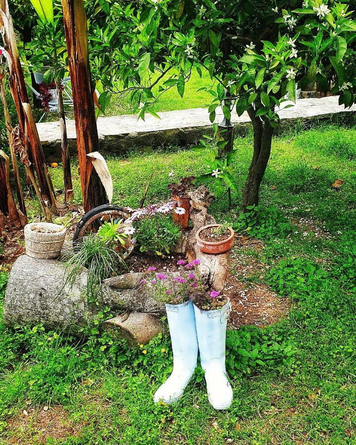 Portalimo - Adult Only +12 Cabană Çıralı